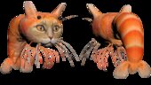 Trippi Troppi Shrimp cat de italian brainrot